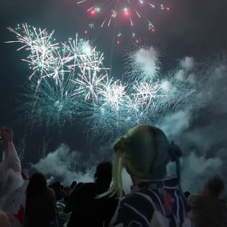 🎆