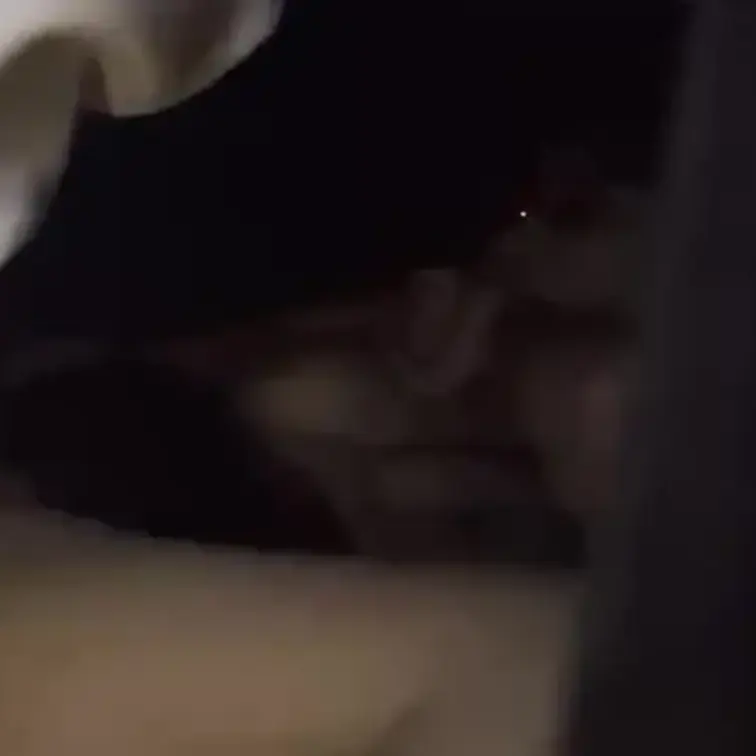 顔出し動画❤️車内不倫一部始終㊙️中出しフィニッシュ💦
