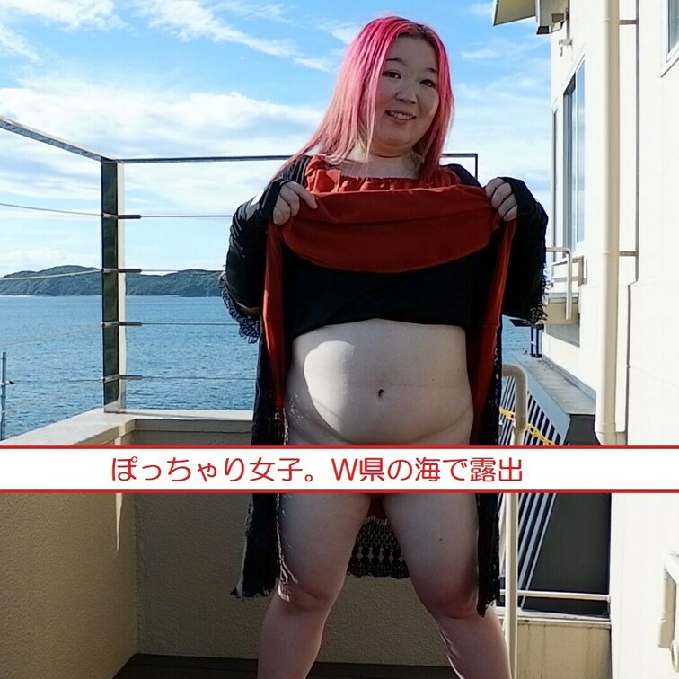 りほさんの露出映像総集編です。こうして見ると、けっこうやりたい放題してますね。羞恥心ほぼゼロでした。

ぽっちゃりヌ