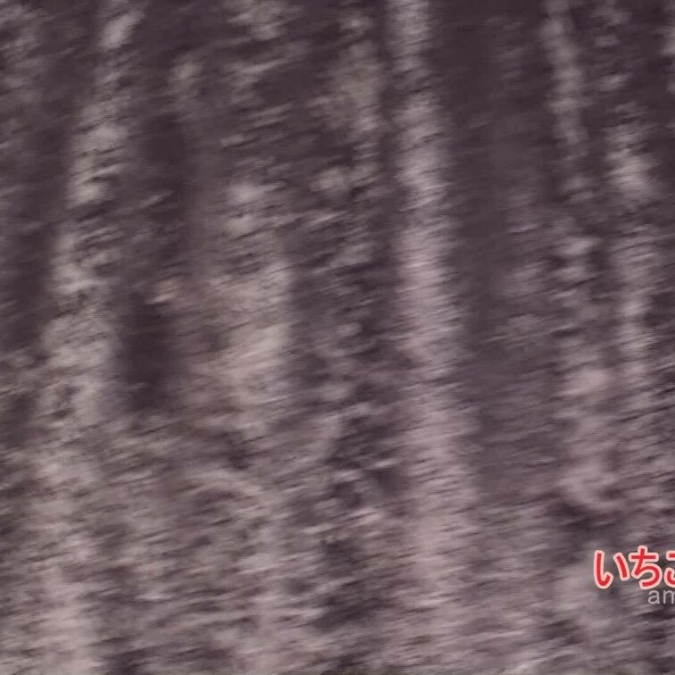 （特典映像）No.04素人モデルいちごちゃんの過激着エロ動画

