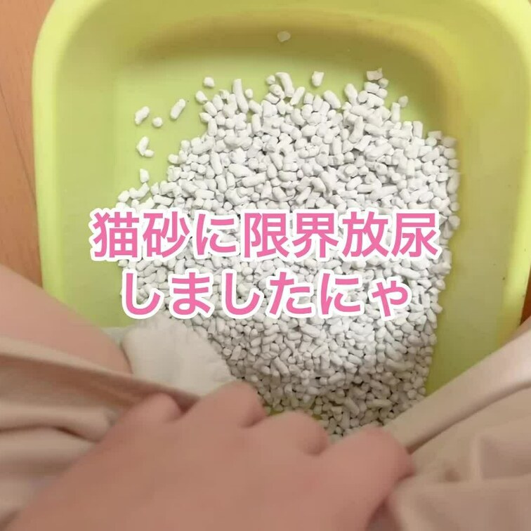 猫さんの砂にしました🐱
