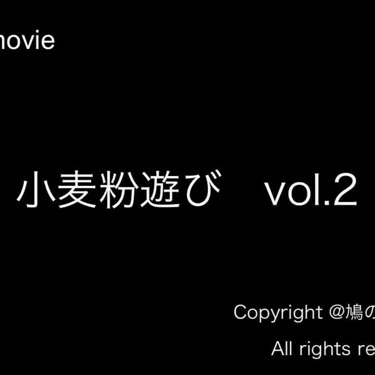 小麦粉遊びvol.2のサンプル動画になります