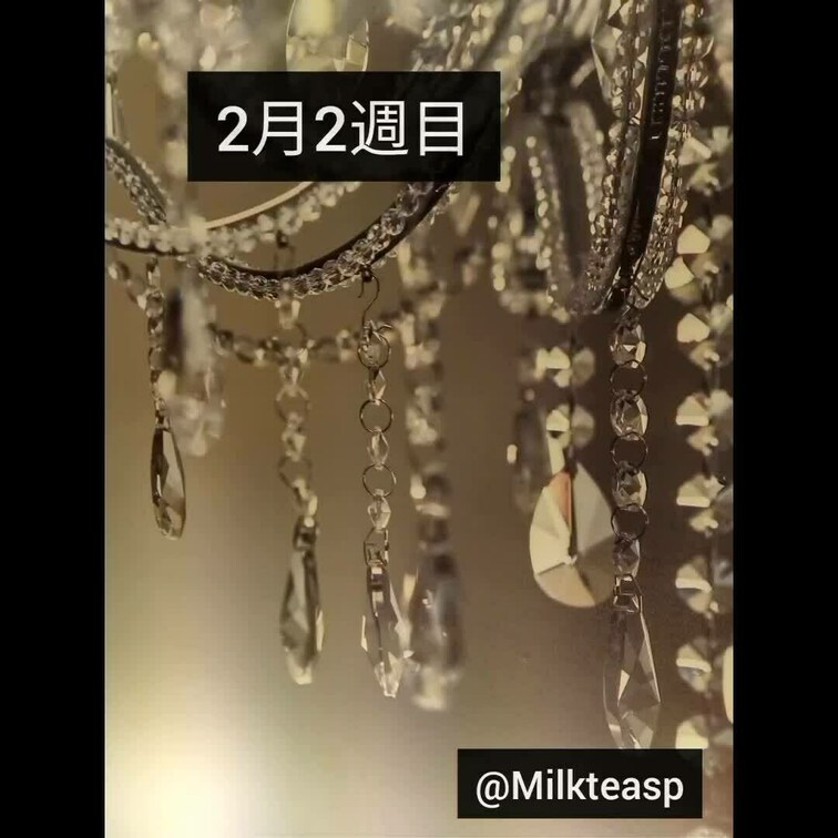 2月2週目