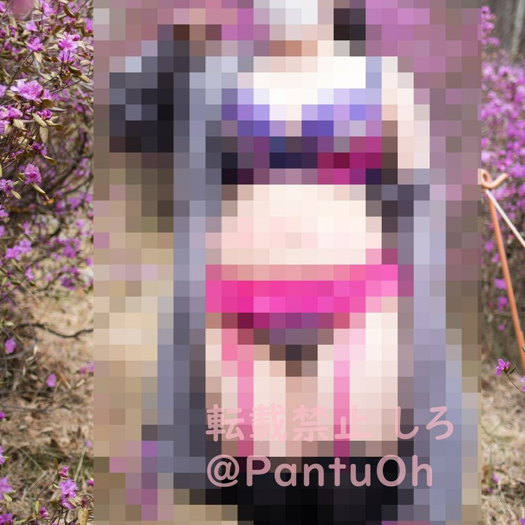 本日の有料プランの写真は、サルートでプチ露してきたときの写真になります～

無料プランの方は差別化のためにもう一枚更