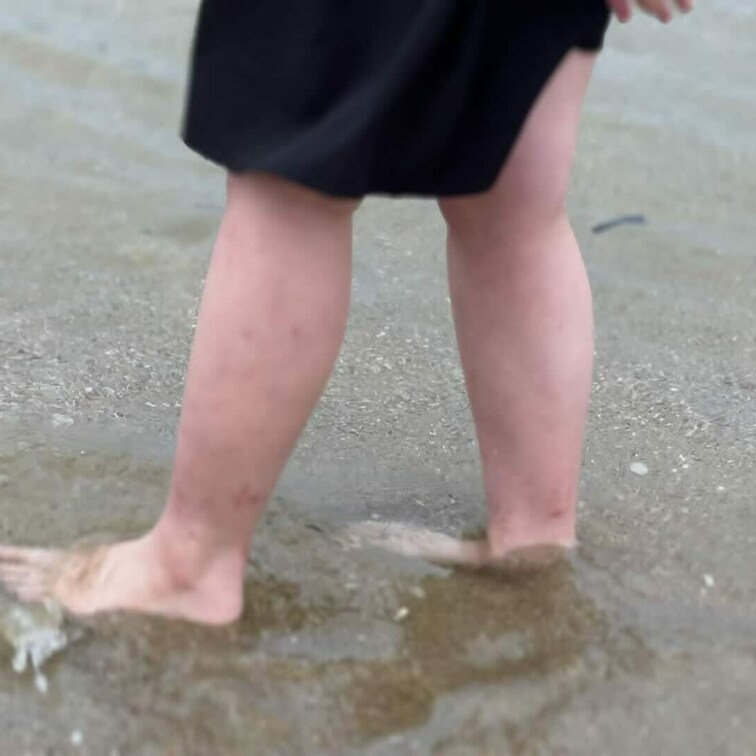 暑い日が続いてますね。

私自身は暑いのはそこまで苦手じゃ無いのですが
ころんは苦手。

割と室内に篭りがちに
