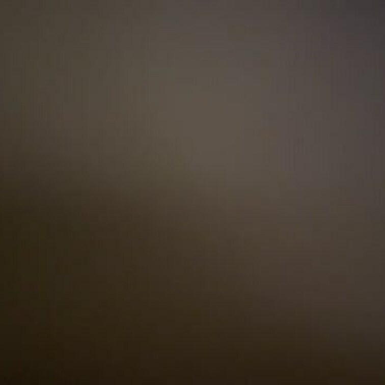 おもちゃでいじめられる