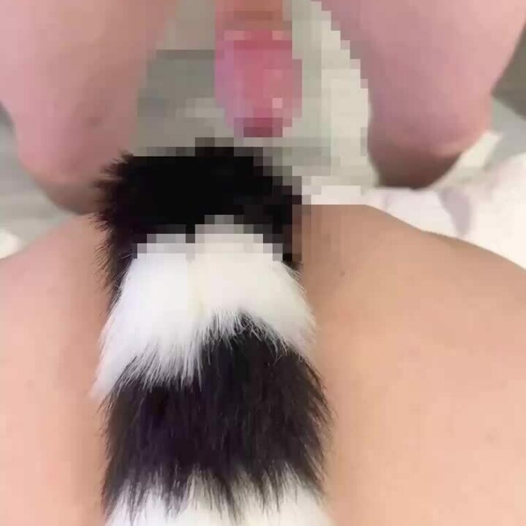 単独さん募集
