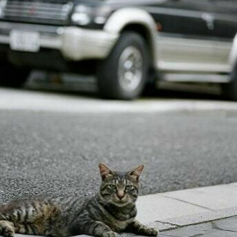 CONTAX G1