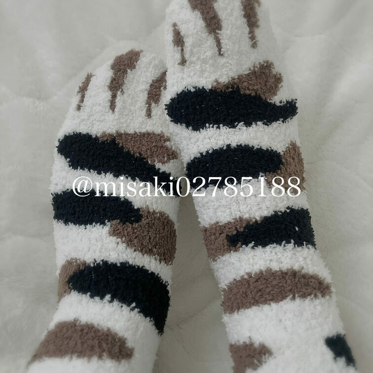 ねこちゃんソックス🧦