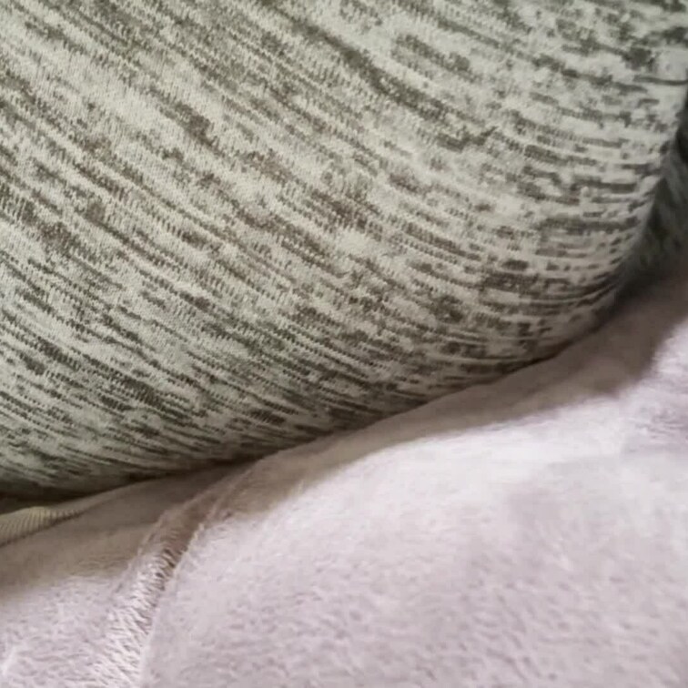 ( •́ฅ•̀ )