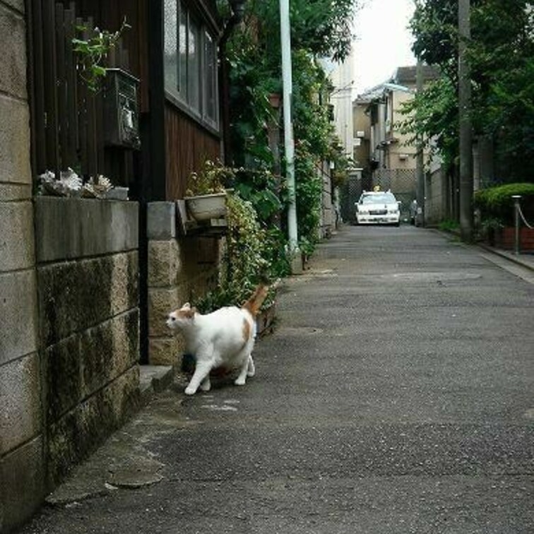 王の帰還