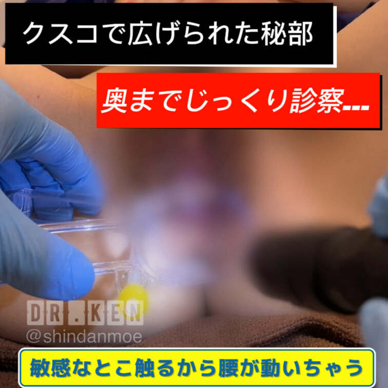 7/6ポスト分
https://x.com/shindanmoe/status/1809531519826038819