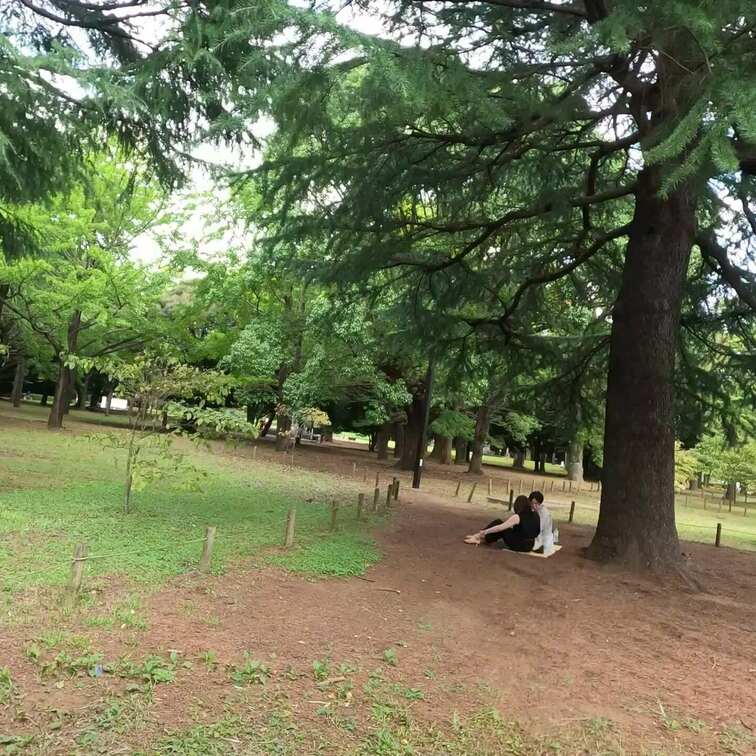 【撮影動画】24歳ハーフ美女ダンサーの足裏

この日も真夏の猛暑日でした。
公園にいる人もボチボチの中、2人組の女