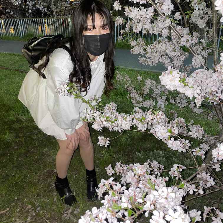 🌸🌸🌸