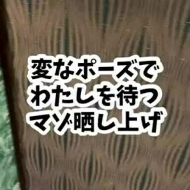 最下層マゾ豚として晒されると嬉しいらしいの。豚にも失礼やわ。何て言ってるのかよく聞き取れないけど、これはペニバン待ちの恥