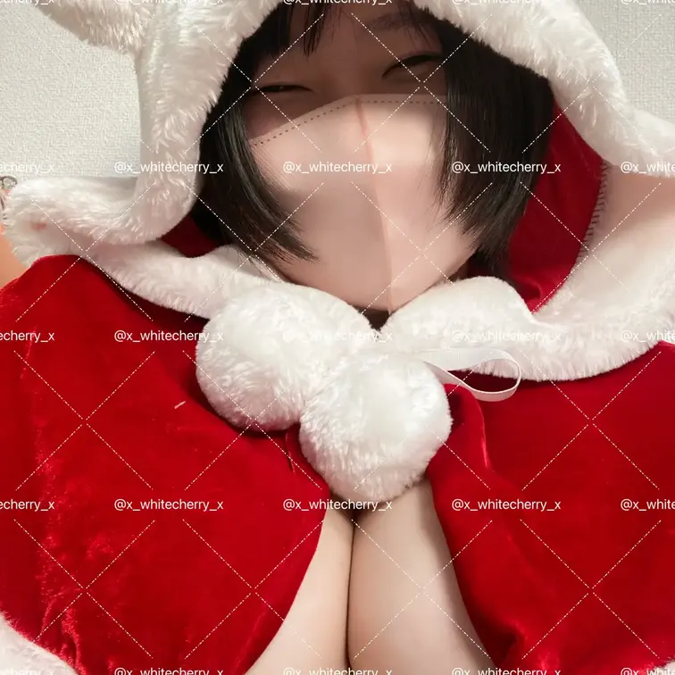 動画もあるよ