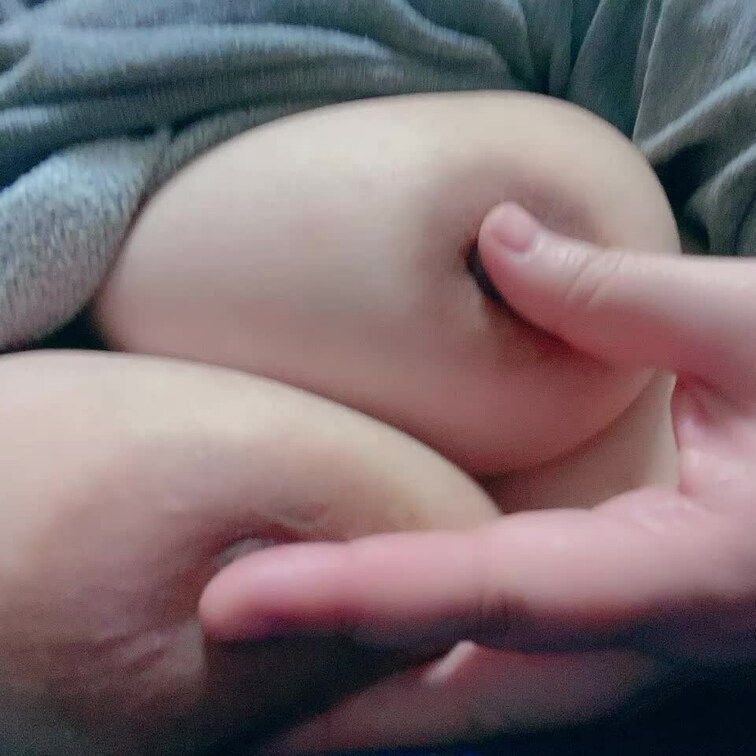 動画も…
