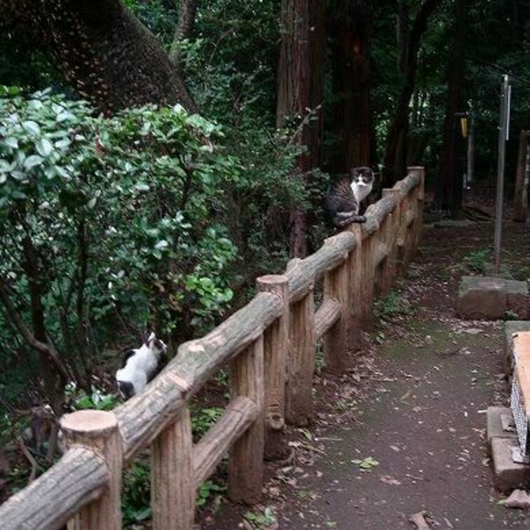 高いところにいるほうが偉いんだよ