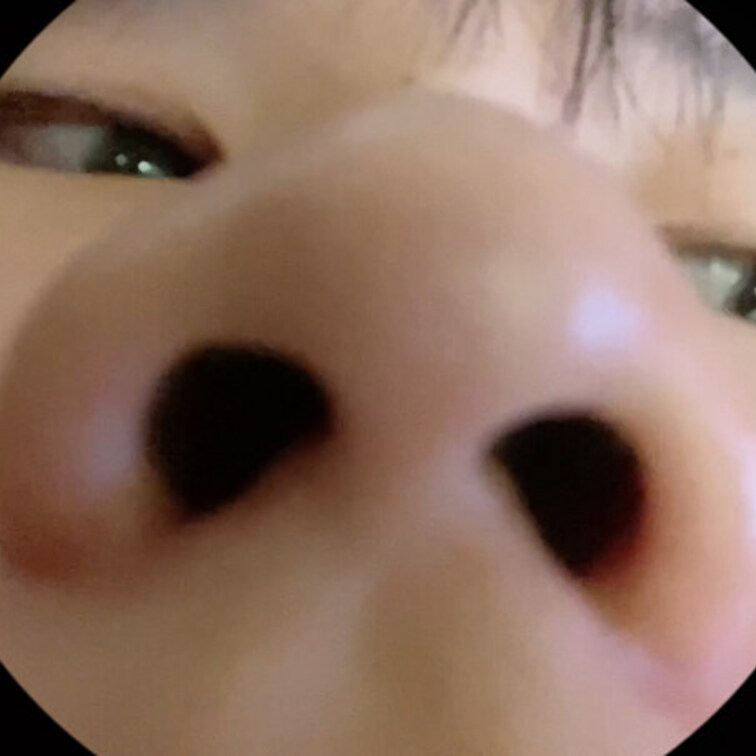 鼻をみるだけ、、