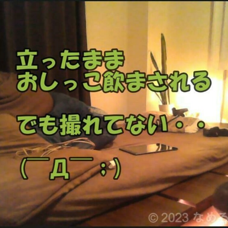 れいな様＜後編＞未収録NG分

立ったままおしっこ飲まされるも撮影間に合わず・・
そんな悲しき動画。せめて音だけも