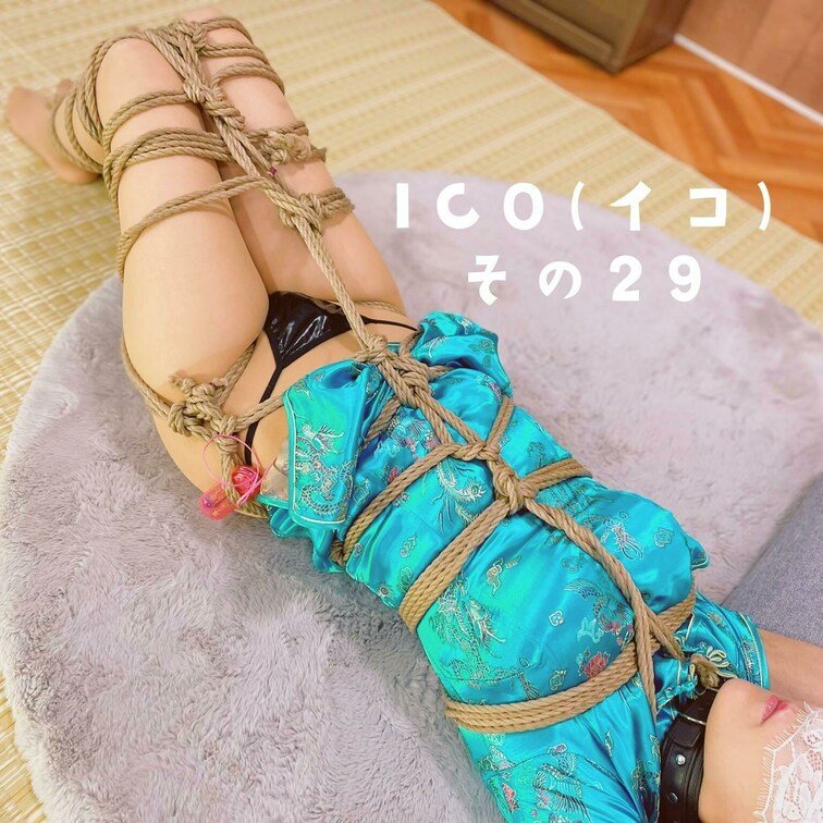 【じっとしてられない...】
ICO(イコ) その２９