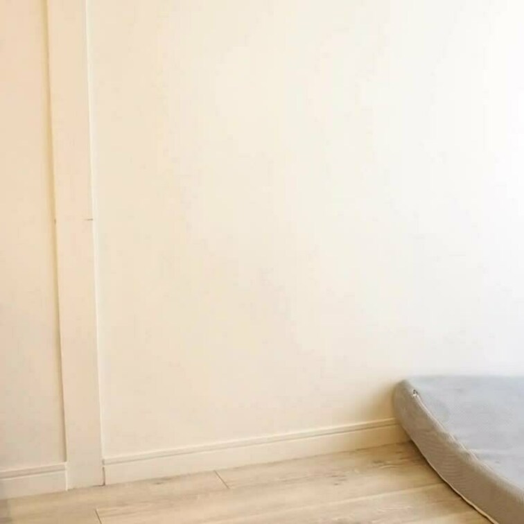 お気に入りの下着
サルートから
小さなパンツに履き替えるよ。
撮影中の着替えの様子。
