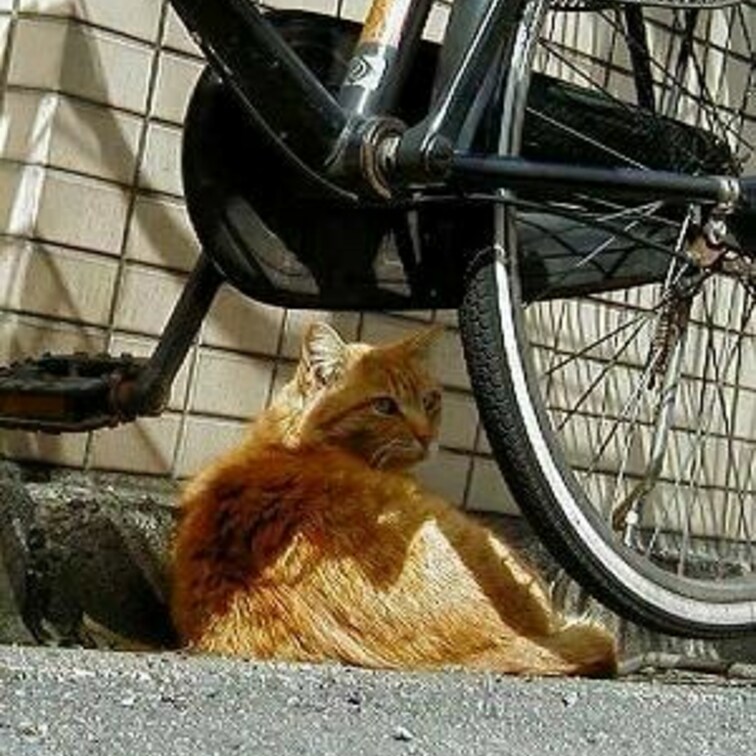 四谷三丁目