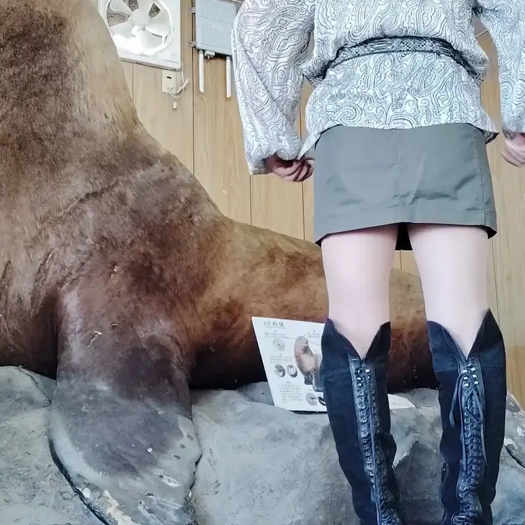 ♥️露出♥️北海道露出(2日目昼)
無意識に男を挑発する女
トドの剥製の説明を読んでいる