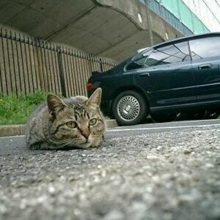 ぺたんこ
