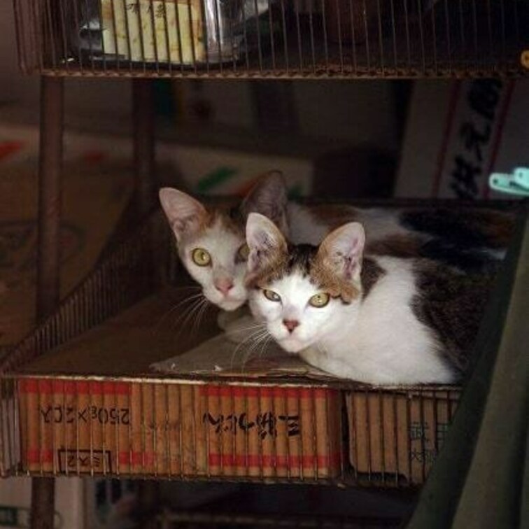 新高円寺