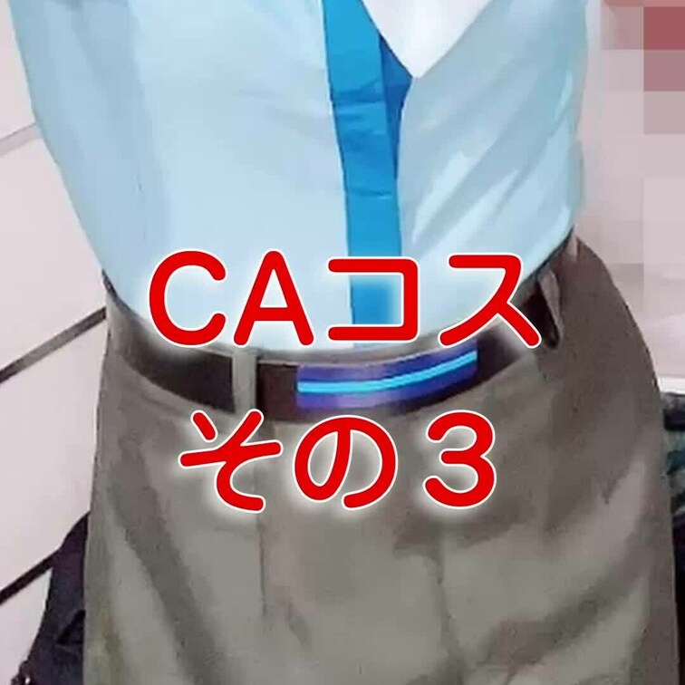 ANAのCAさんコス その3