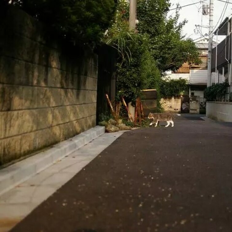 方南町と笹塚のあいだ