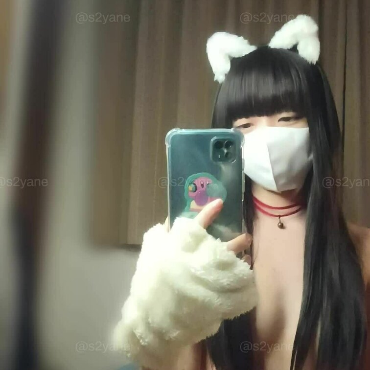 😺🐾