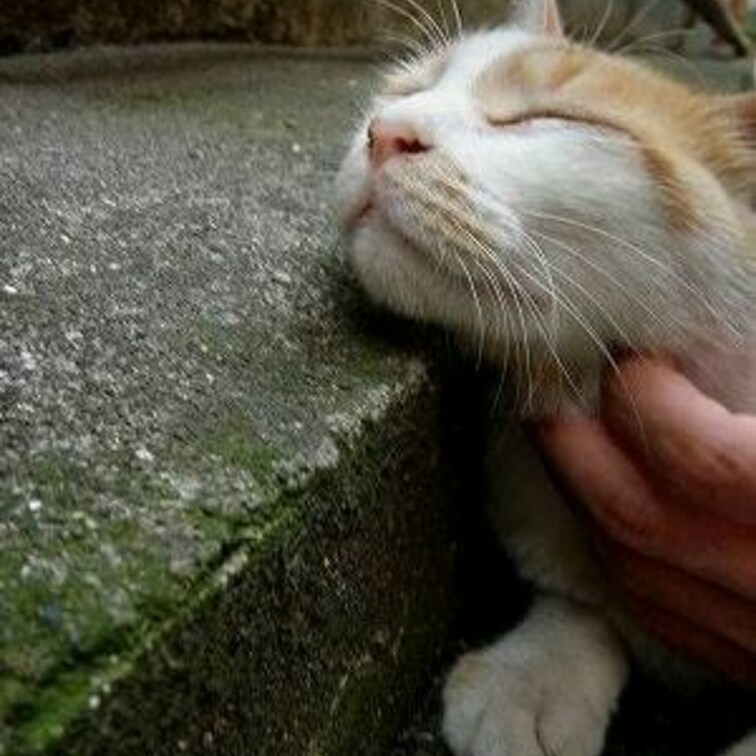 むちっ