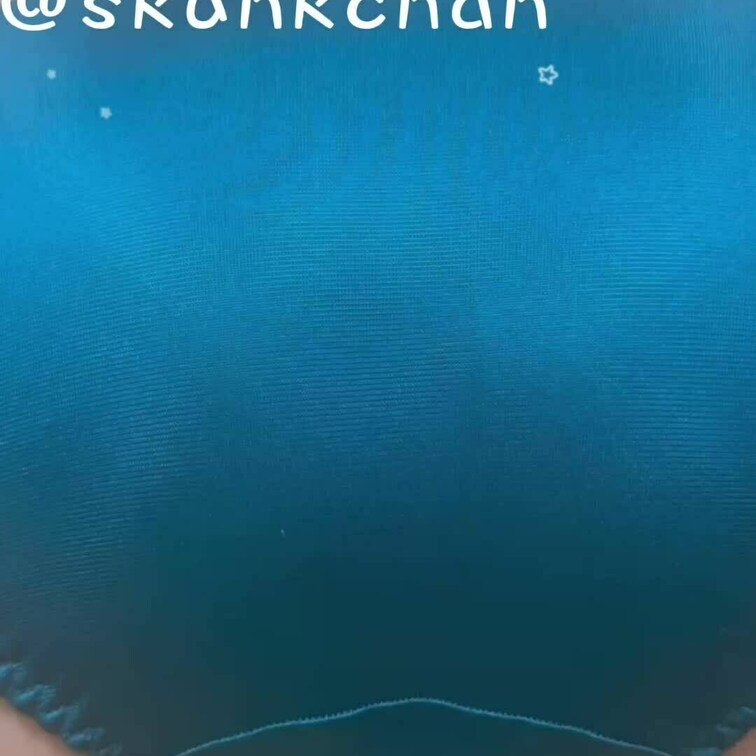 🦨