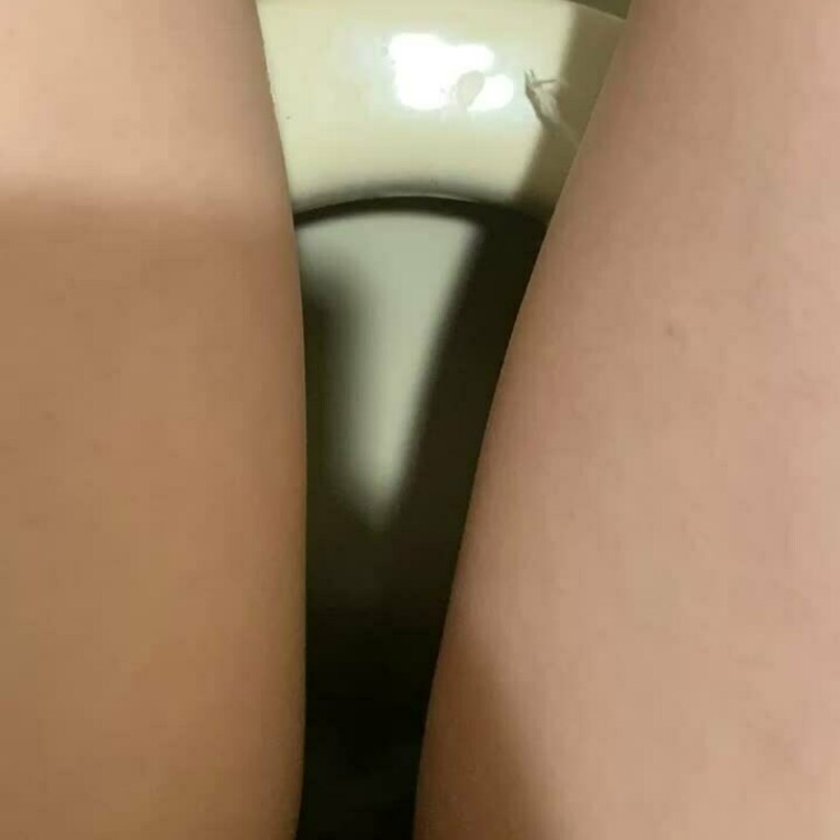 おしっこして拭くまでです♡