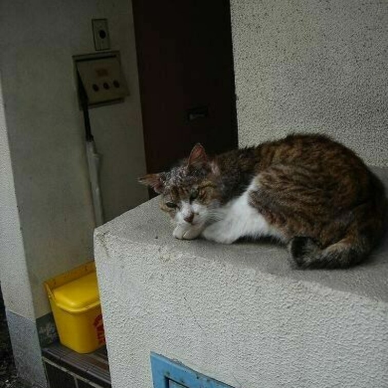 このアパートなら俺のもんだよ