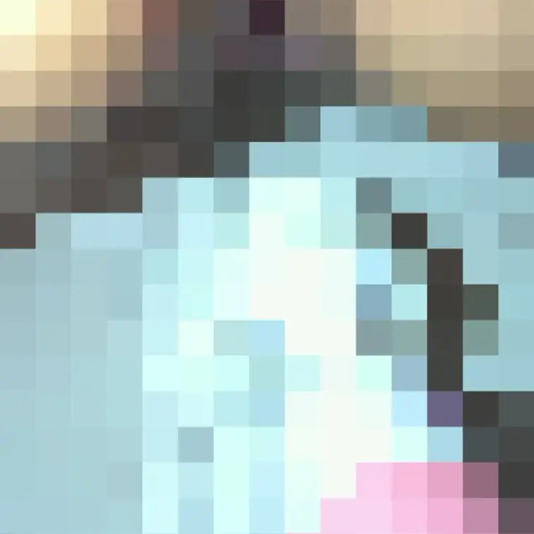 ぽっちゃりエージェント 動画1