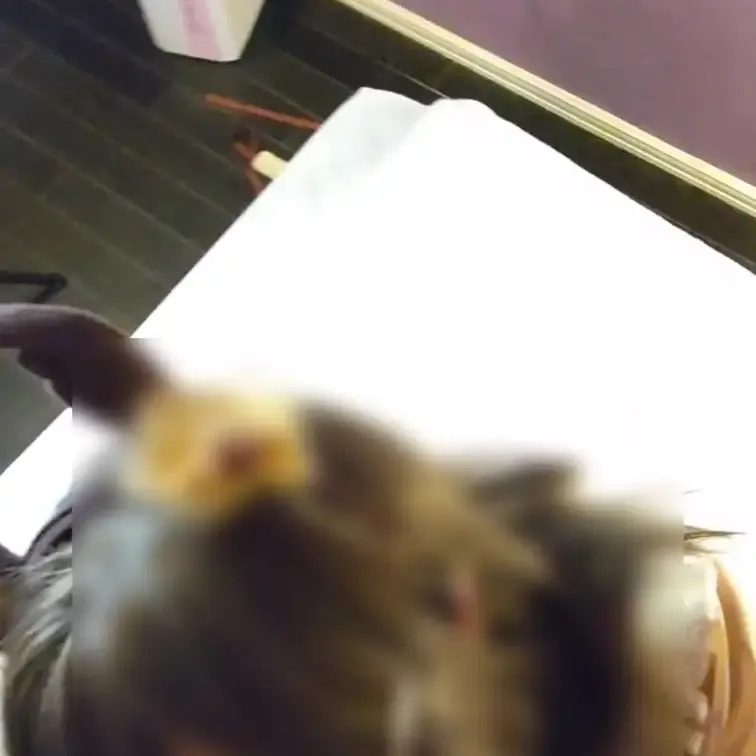 はいどれんじあちゃんによる主観フェラの動画になります！
美味しそうに舐める所を見てね♡
