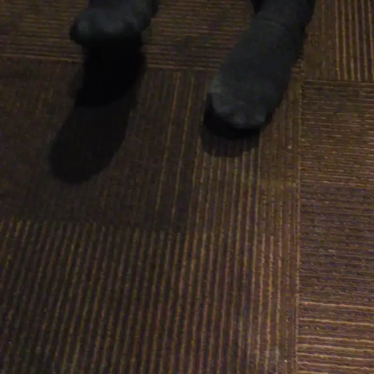 足フェチ動画です。
靴下の足をバタバタさせています。
