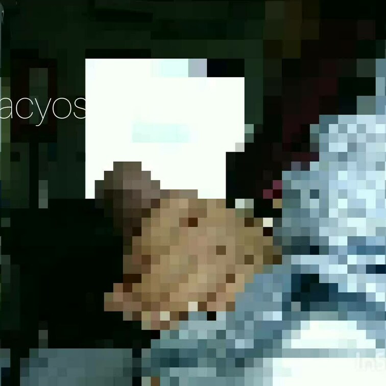 バス
