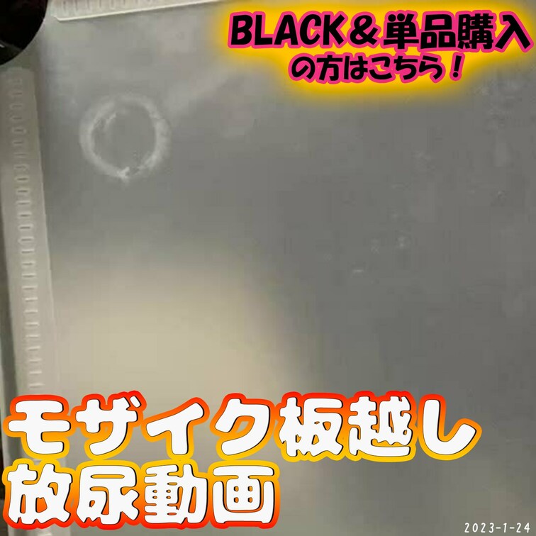 🌸動画UP🌸
モザイク板越しの放尿動画😳
見えないからこそ聞き耳立てちゃう🤍

お待たせしました💓
不透明板✖