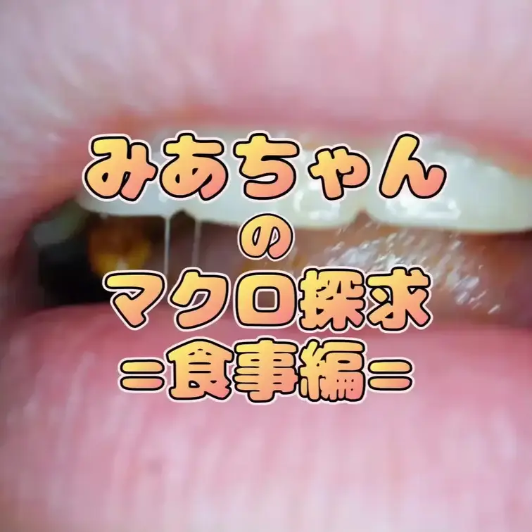 みあちゃんのマクロ探究=食事編=
みあちゃんの食事~歯磨き~唾垂らしまでを接写いたしました!
お菓子が溶けていく様子・咀嚼されていく様子…
ドロドロになったおくちの中…お楽しみください。
00:30~ ①チョコ
03:45~ ②ホワイトチョコ
07:00~ ③グミ呑み
09:15~ ④グミ咀嚼
12:30~ ⑤お菓子
15:35~ ⑥パチパチ
19:00~ ⑦息吐きかけ
21:00~ ⑧歯磨き観察
24:15~ ⑨唾スロー
27:00~ ⑩EXスロー撮影
全⑨シーン収録!