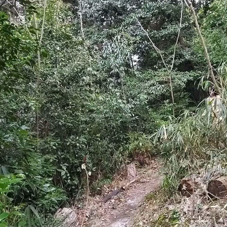 山の中から全裸で登場してみました(⋈◍＞◡＜◍)。✧♡
