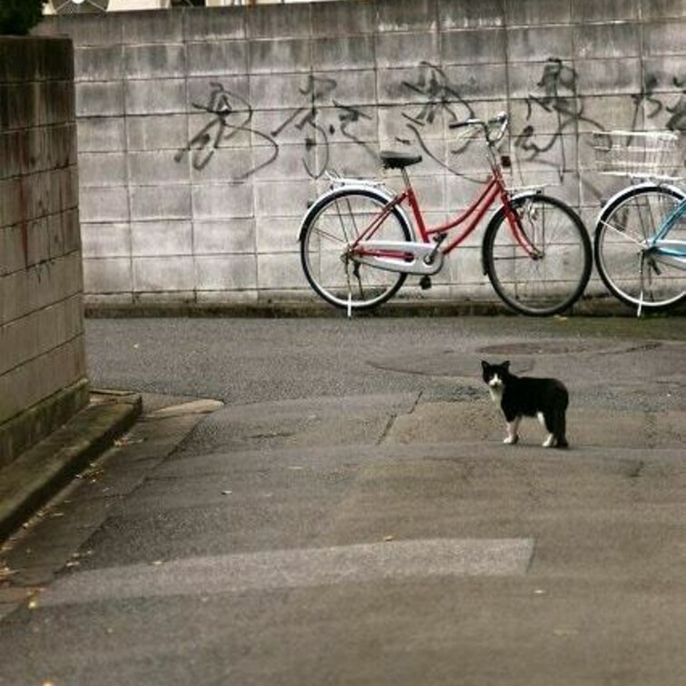 愚連隊