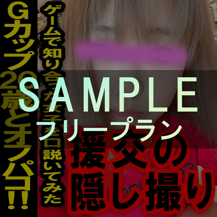 フリープラン専用サンプル動画ー援の個人撮影[No.16]Gカップ20歳 ゲームで知り合ったオタク女子とオフパコ

