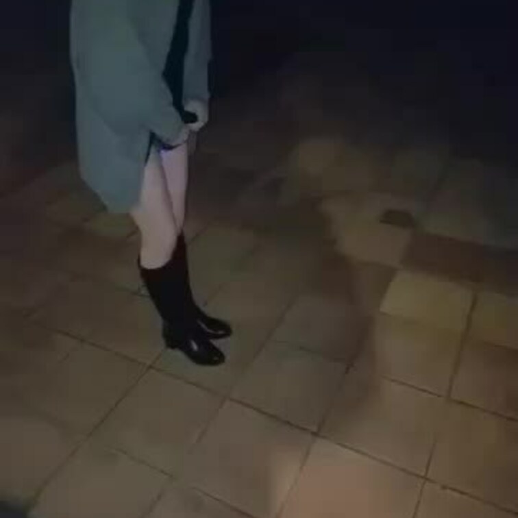 何をしてるでしょう？😻