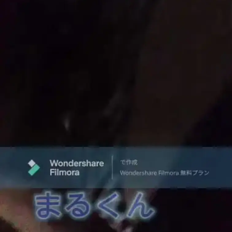 今月初めに投稿した大学の同級生との寝バック動画です。バックの時同様、ナイロンの豹柄下着なのに擦れても全く痛くないくらい濡