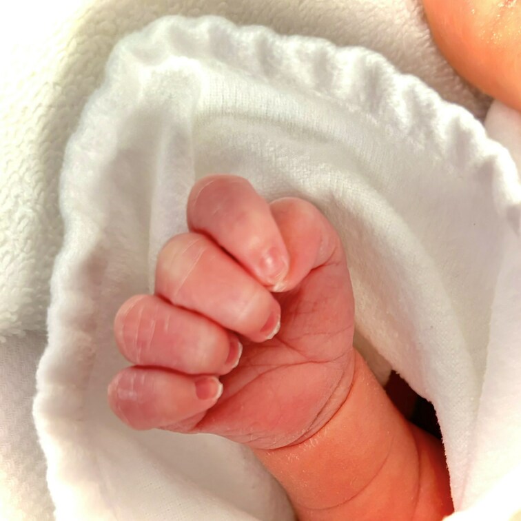 【お知らせ】
予定より1ヶ月半も早く妊婦生活が終わっちゃいました(⑉• •⑉)
しばらくは更新頻度が下がる可能性があ
