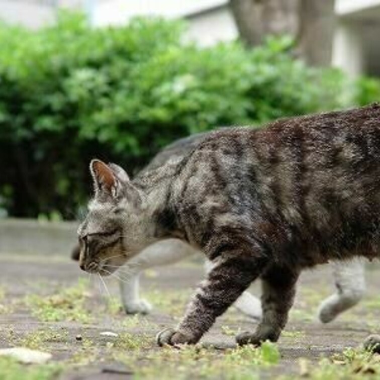 方南二丁目公園